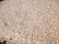 rra delle Concazze-Pietra cicirara 201100508 010